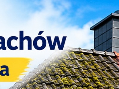 Czyszczenie i malowanie dachów Bydgoszcz – mycie i renowacja