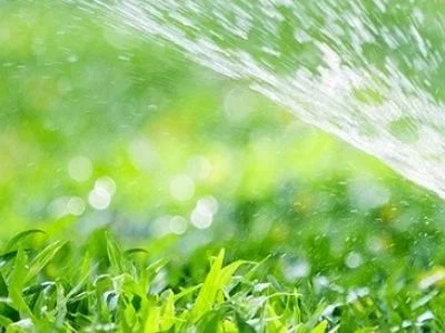 Ogrodnik Wołomin – pielęgnacja ogrodów i terenów zielonych