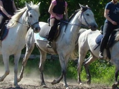 Nauka jazdy konnej Legionowo